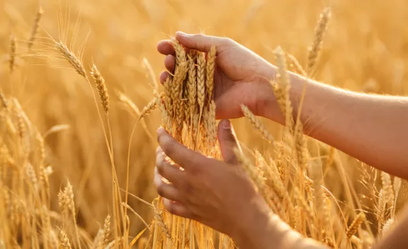 azienda produttrice di pane surgelato