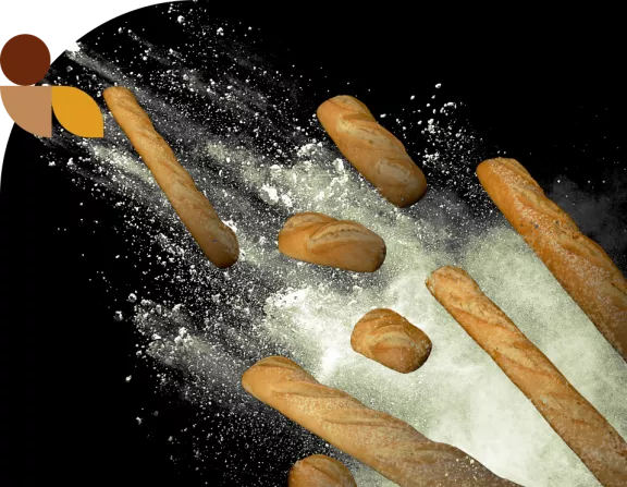pane tipologie pane tipologie