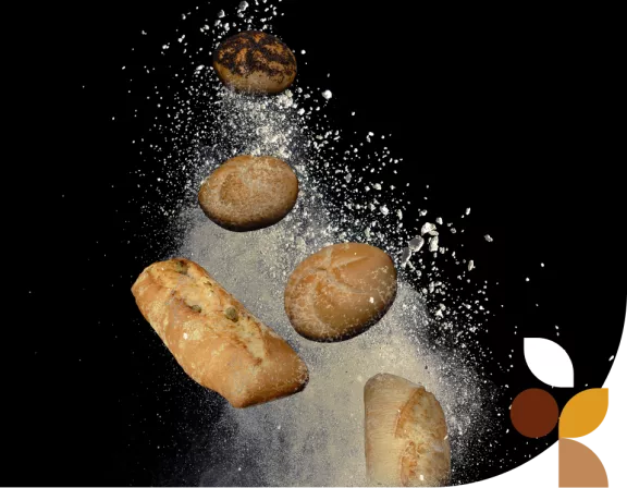 pane tipologie pane tipologie