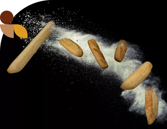 pane tipologie pane tipologie