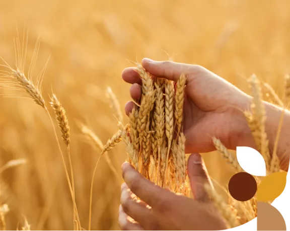 produzione alimentare produzione alimentare
