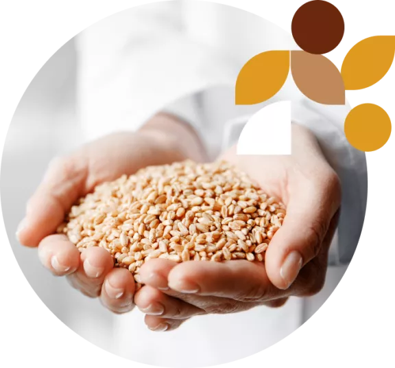 produzione alimentare produzione alimentare