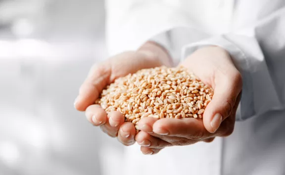 sostenibilita alimentare sostenibilita alimentare