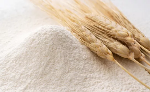 sostenibilita alimentare sostenibilita alimentare